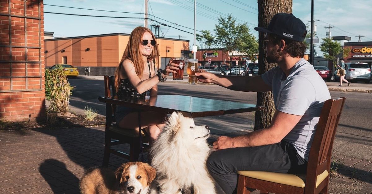 edmonton travel blog craft breweries