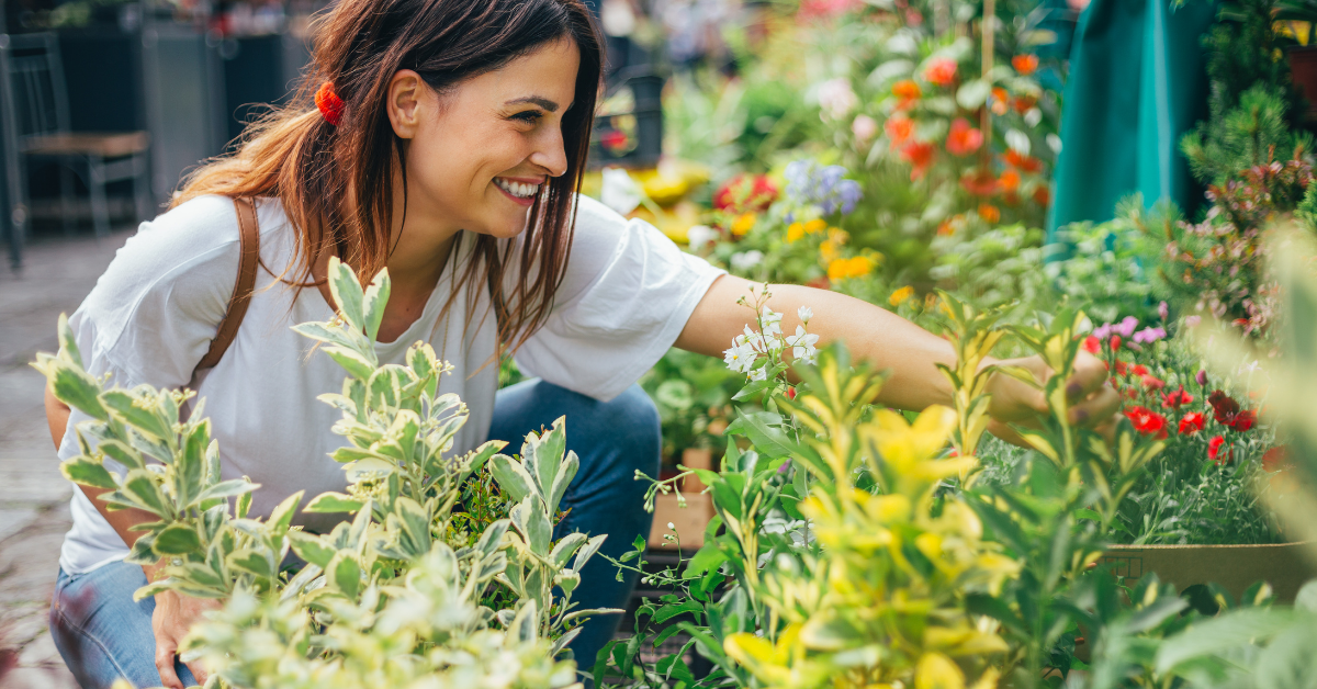 edmonton flower shops