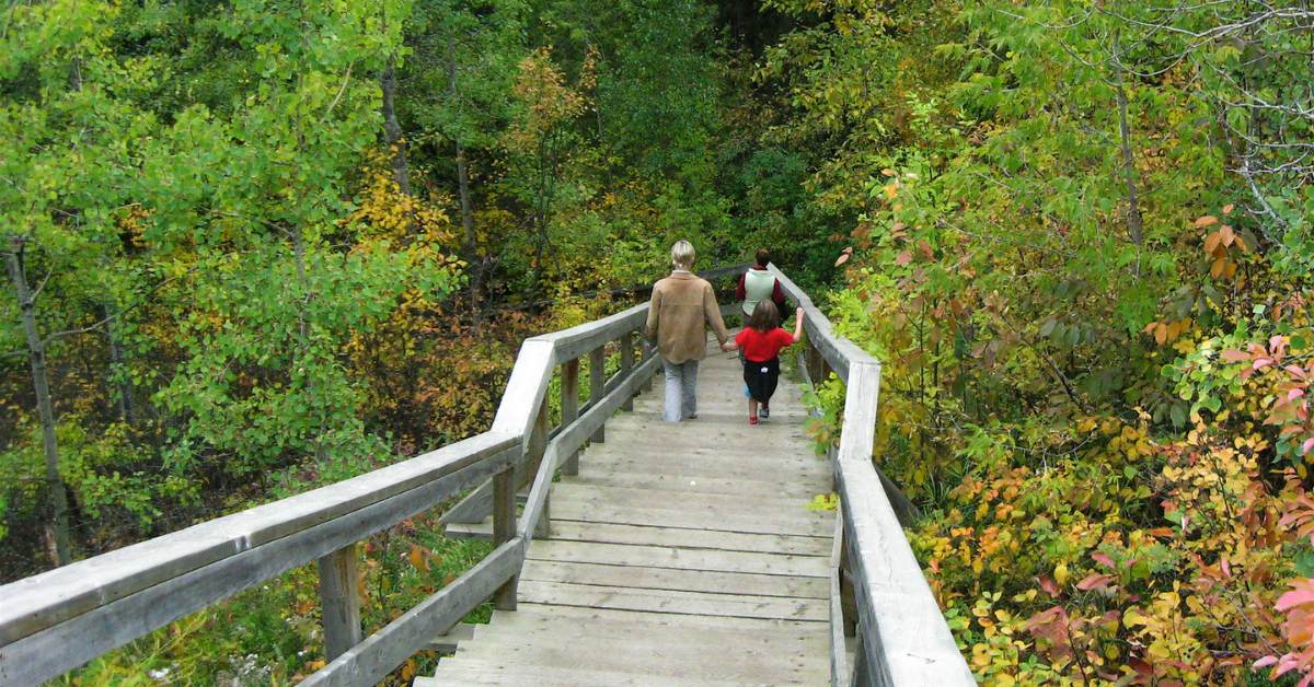 edmonton outdoor trails and hikes