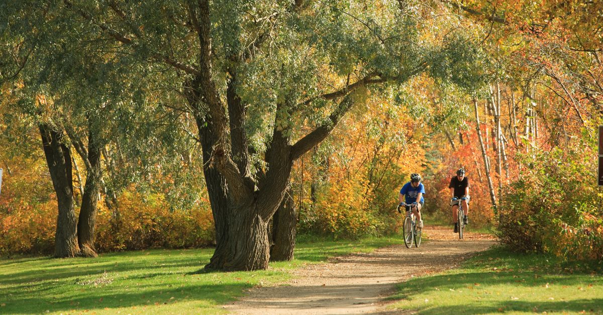 edmonton cycling trails fall downtown