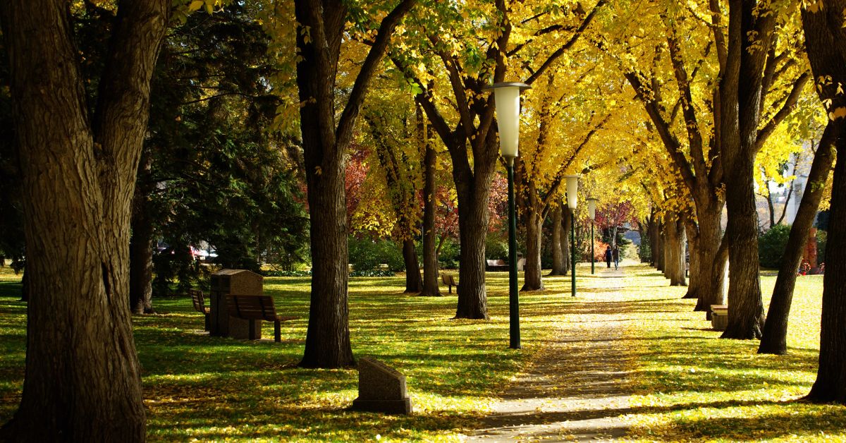 edmonton fall trails legislature