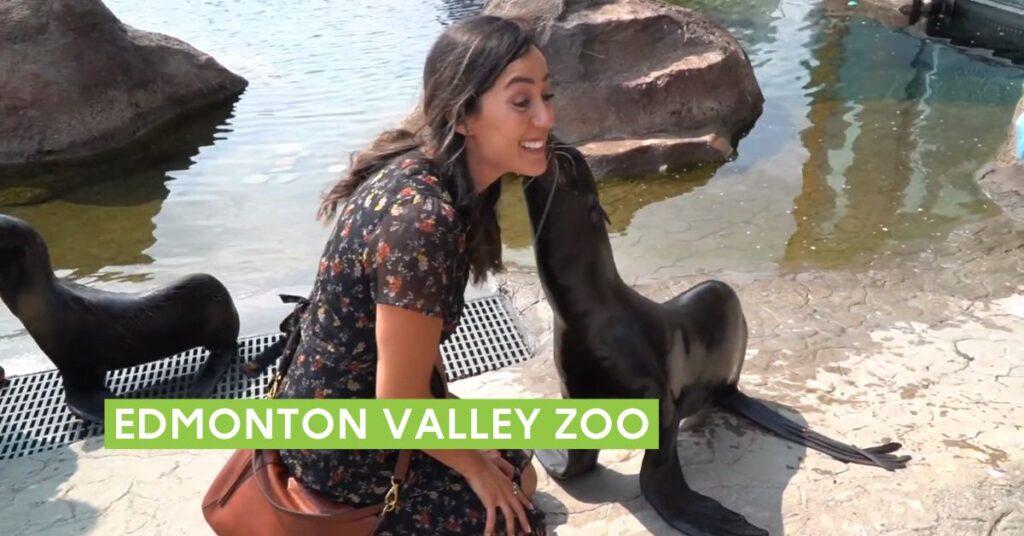 edmontons best attractions edmonton valley zoo