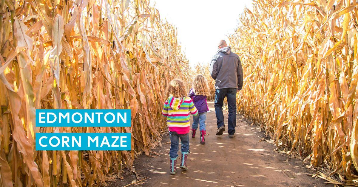 edmonton corn maze edmonton's top tourism businesses
