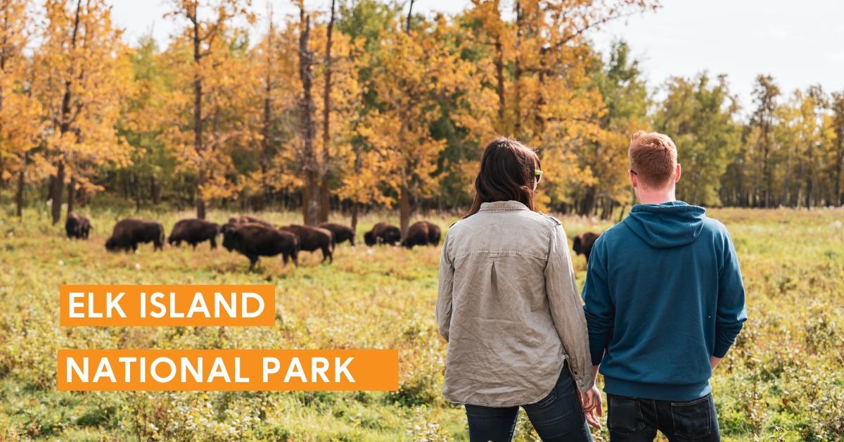 visit elk island national park from edmonton