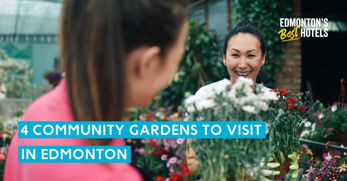 four community garden centres to visit in edmonton