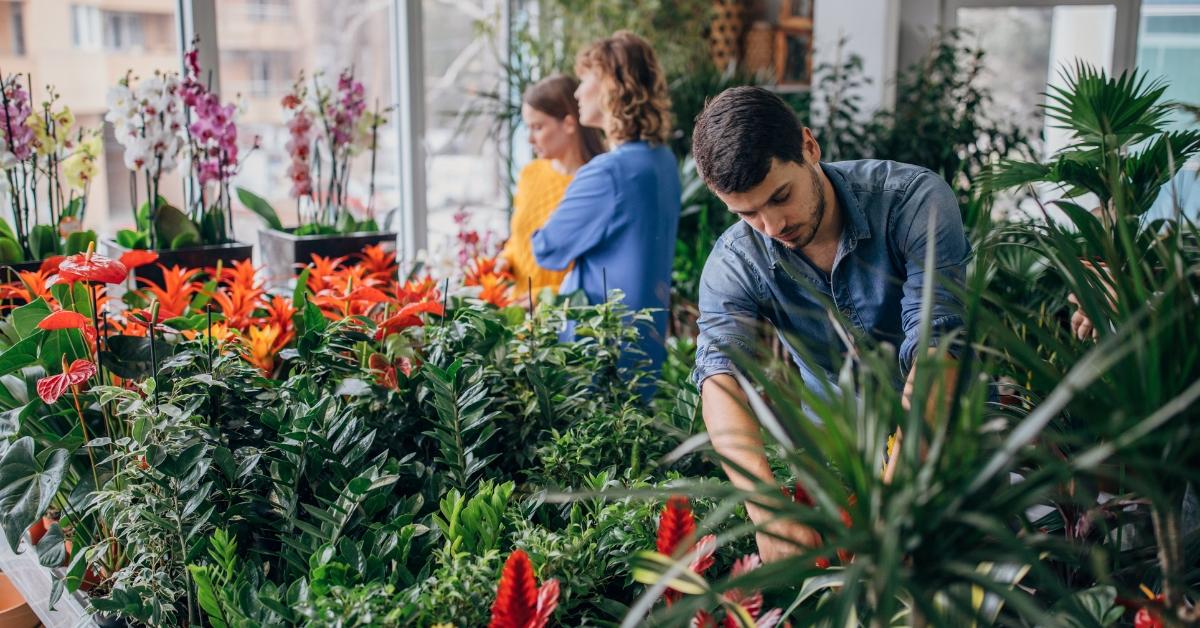 people shopping in a garden centre in edmonton