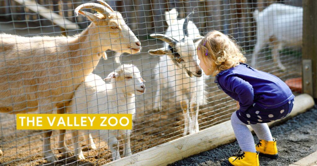 The Valley Zoo